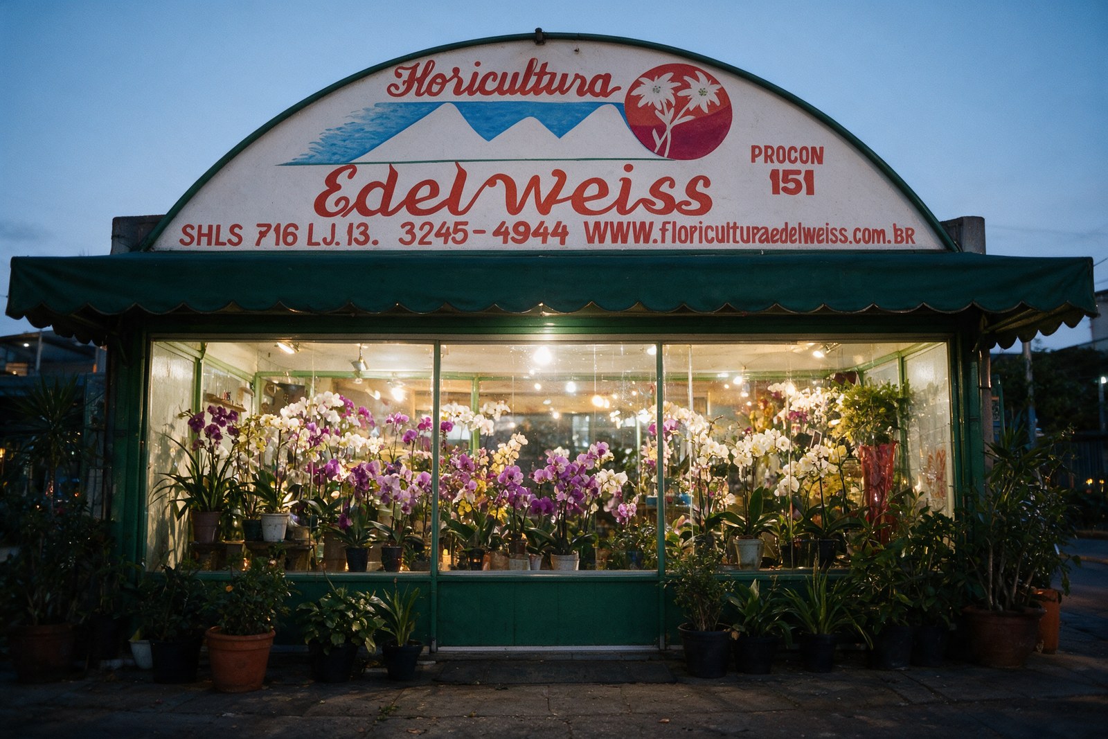 A Floricultura Edelweiss no anoitecer: a placa arqueada com a montanha nevada e as duas flores, o toldo verde e a loja iluminada por dentro, cheia de orquídeas, com vasos na calçada